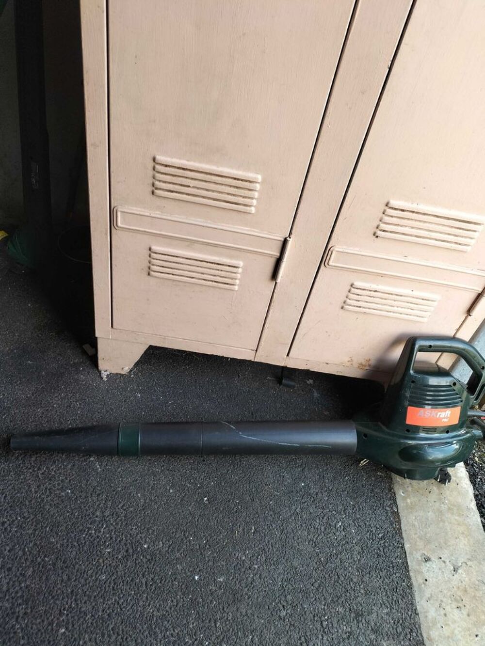 Aspirateur-souffleur-broyeur de feuilles. Jardin
