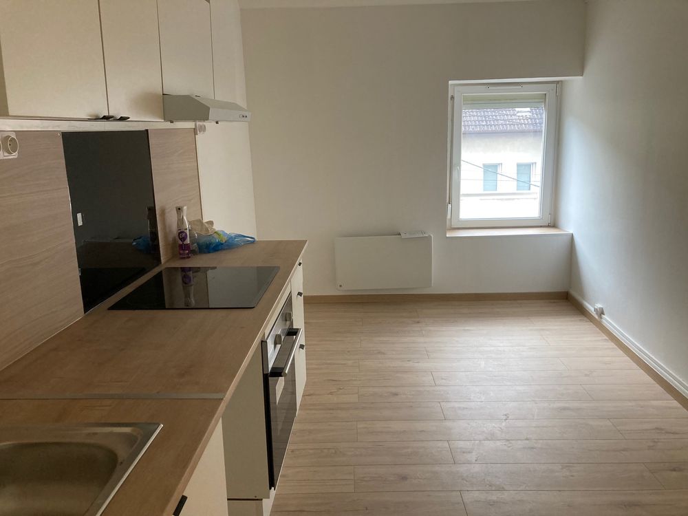 Location Appartement F3 refait à neuf  proche centre ville et gare Dombasle-sur-meurthe