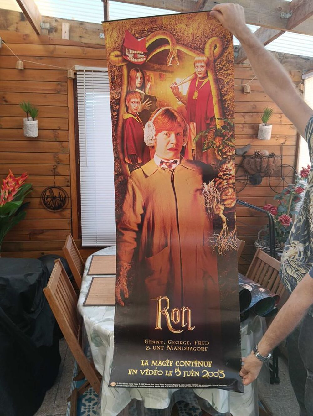 affiche Harry Potter 