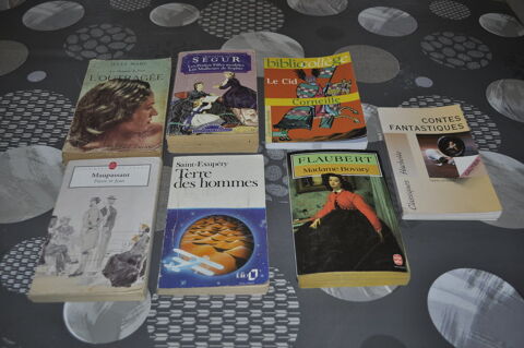 Lot de livres avec entre autre  Flaubert  5 Perreuil (71)