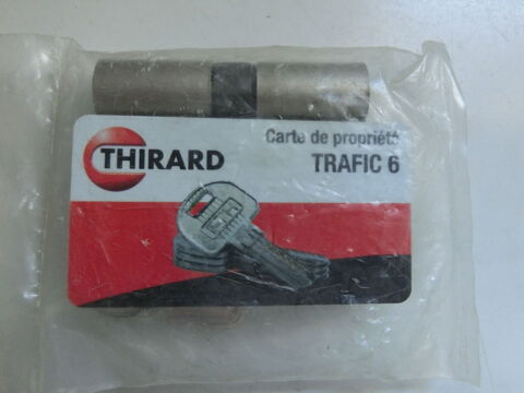 Cylindre barillet de serrure 20 Tarnos (40)