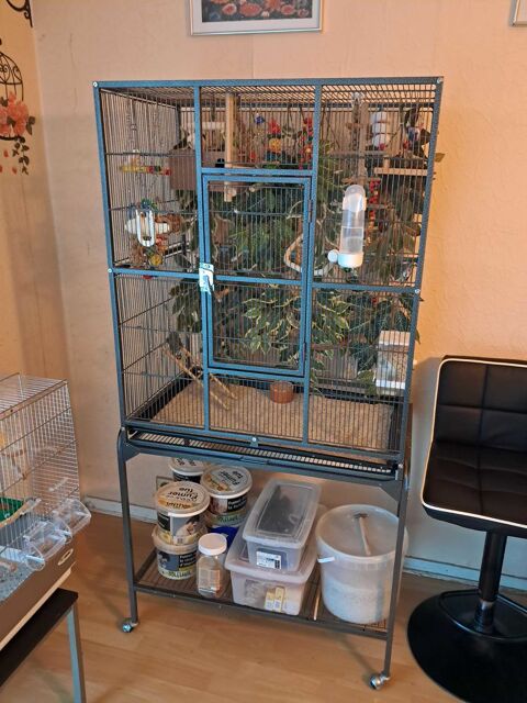 cage oiseaux 60 Guyancourt (78)
