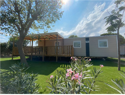 Mobil-Home Mobil-Home 2022 occasion Torreilles 66440
