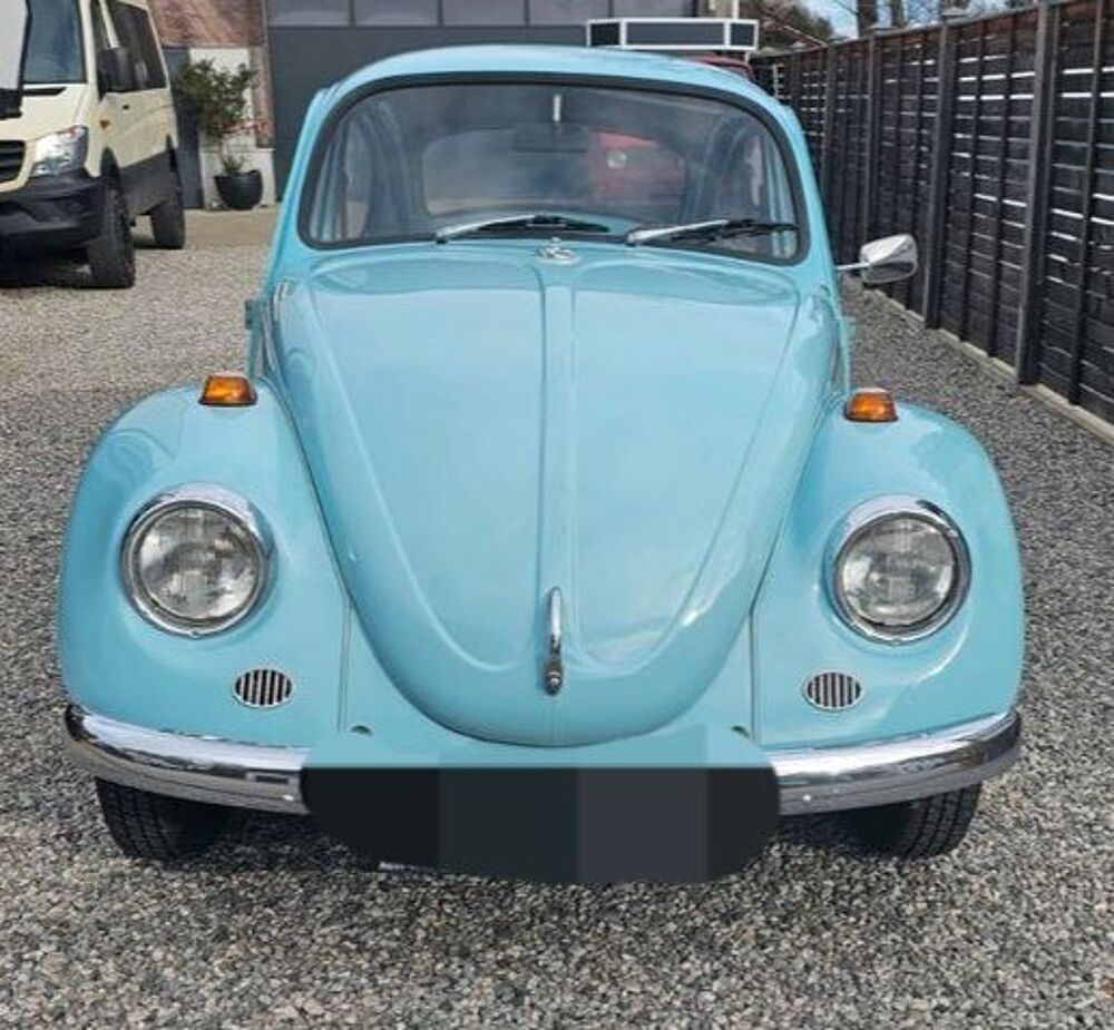 COCCINELLE II 1971 occasion 20260 Calvi