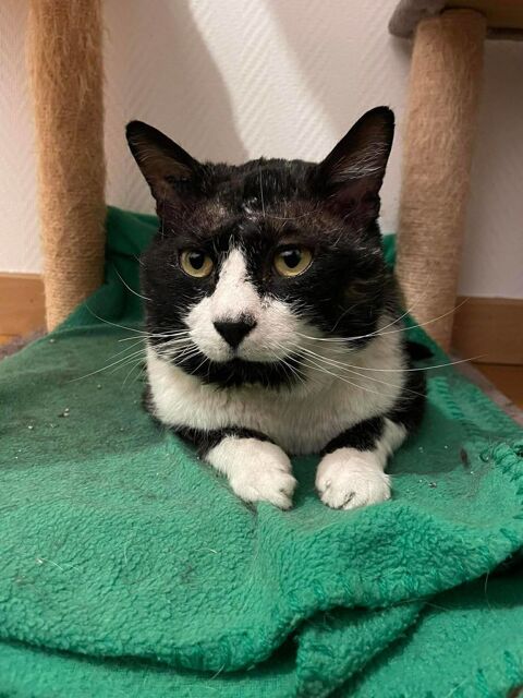 O'Malley 230 69150 D�cines-charpieu