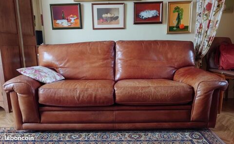 Canap Roche-Bobois 450 Surgres (17)