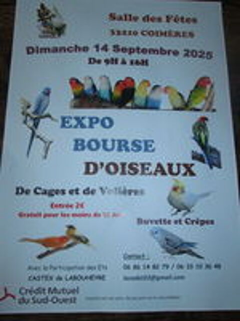   Expo-Bourse D'oiseaux 