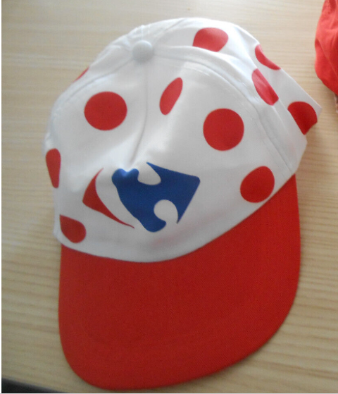 lot 7 casquettes & donne 1 bob  5 Ervy-le-Chtel (10)