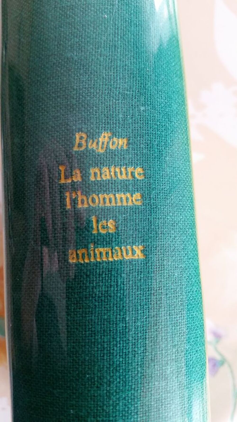 BUFFON La Nature L'Homme LES Animaux Livres et BD