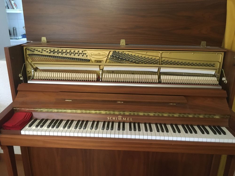 PIANO DROIT SCHIMMEL P120 CLASSIC Instruments de musique
