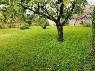  Terrain � vendre 304 m� L�ves