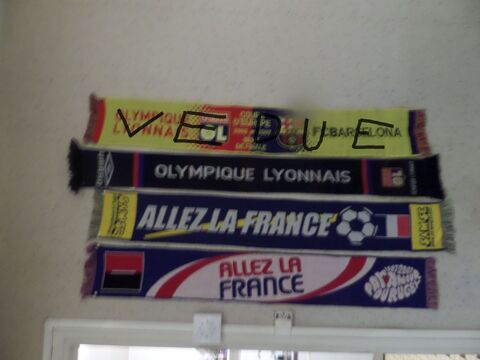 charpes sportives.. aller france et l olympique lyonnais 8 Lyon 8 (69)