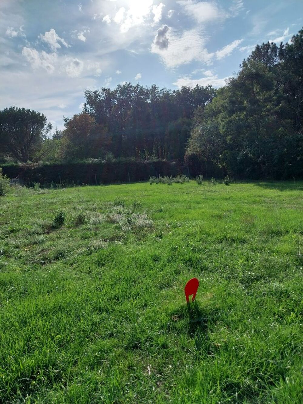 Vente Terrain Terrain constructible Graulhet