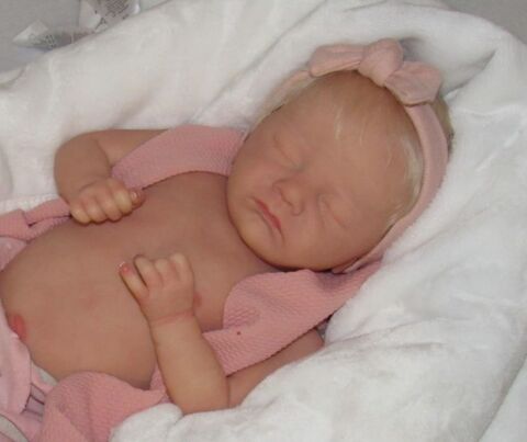 Poupe reborn 350 Mont-Saint-Martin (54)