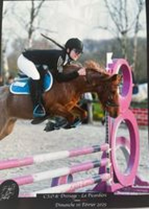   Ponette exceptionnelle PFS PP taille B 