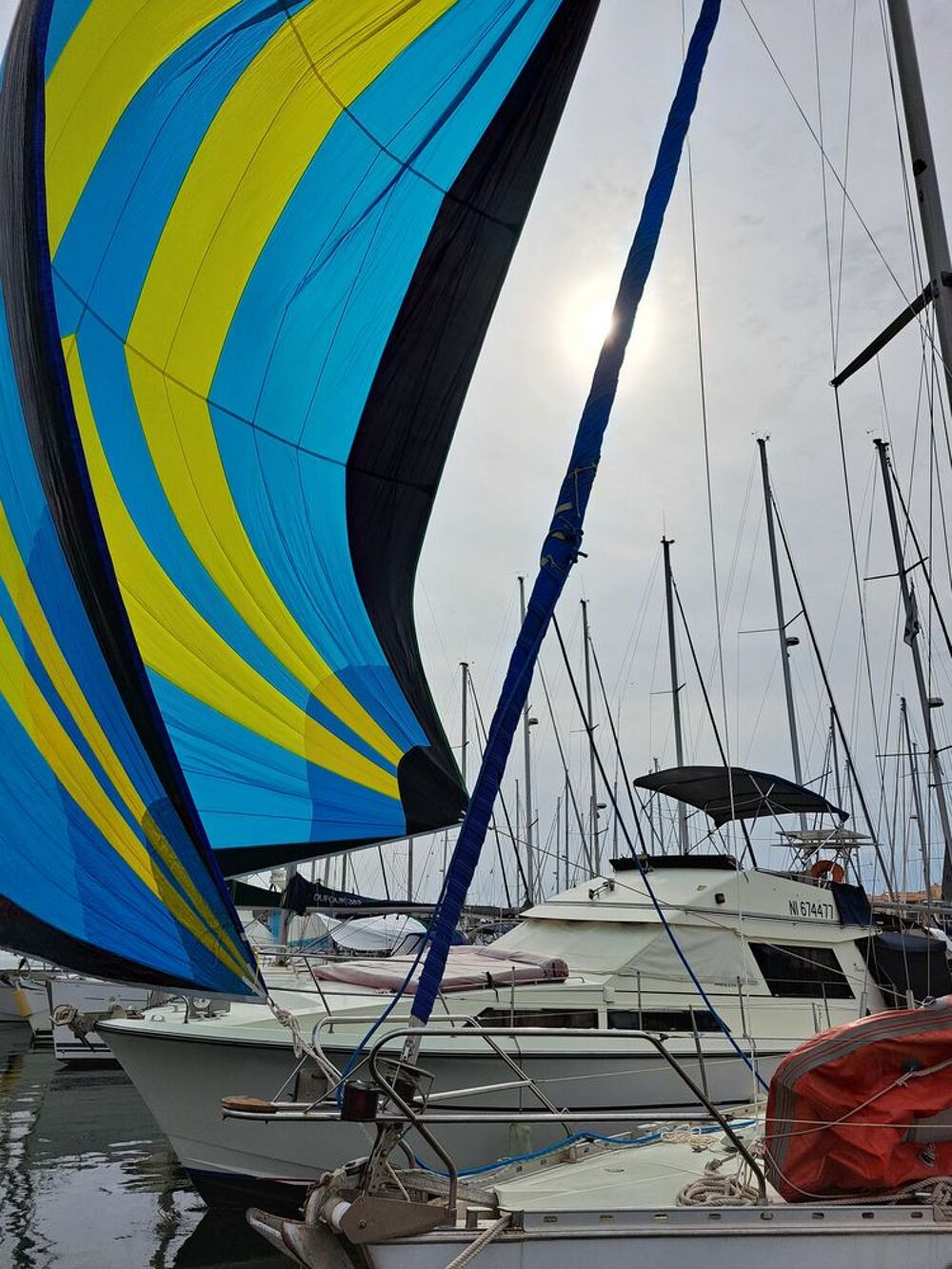 Tr&egrave;s beau Spinnaker tri radial avec sa chemise Sports
