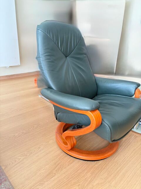 Fauteuil 50 Vernon (27)