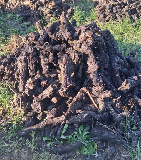 Souche de vigne 35 Mondragon (84)