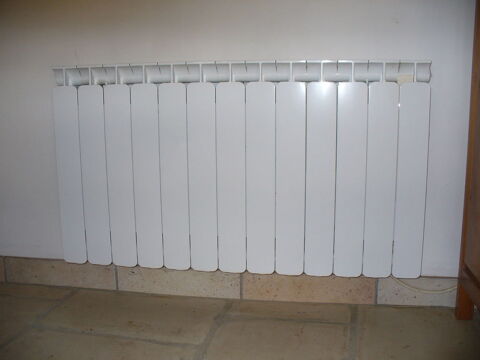 Radiateur 450 Pressigny (79)