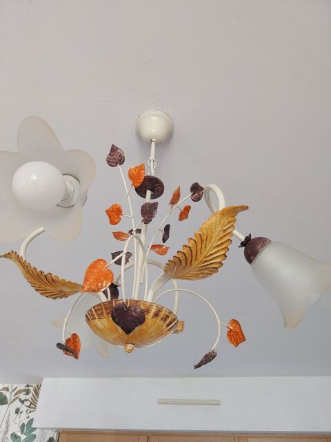 Lustre salon Godewaersvelde (59)