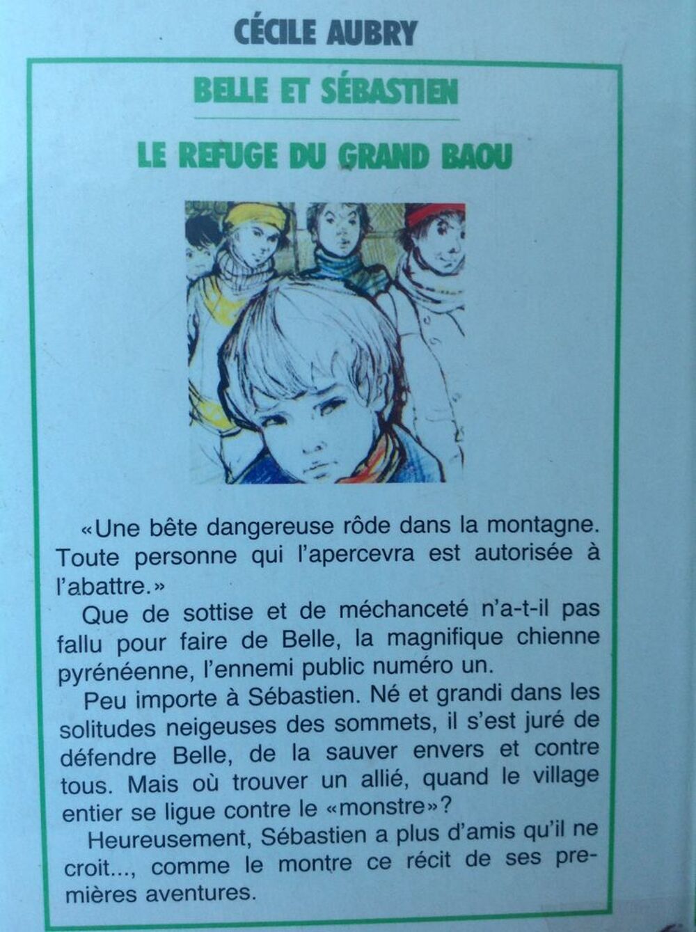 BELLE ET S&Eacute;BASTIEN LE REFUGE DU GRAND BAOU Envoi Possible
Livres et BD