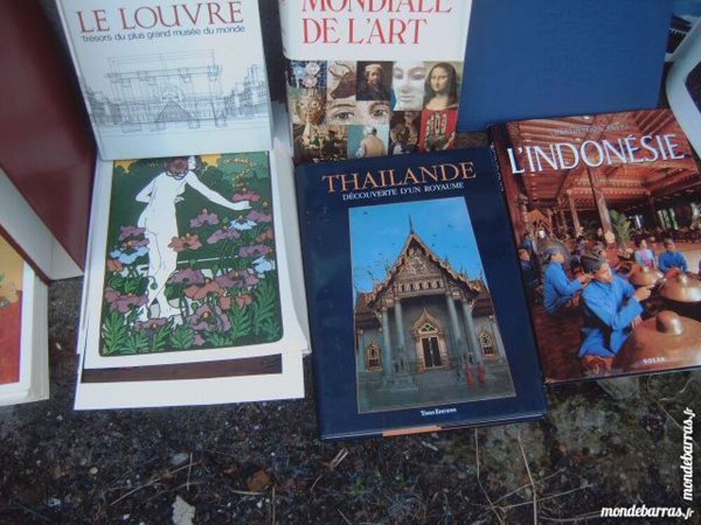 plusieurs livres dont art peinture etc faire un p Livres et BD