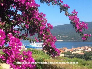 Location  Maison - Villa 