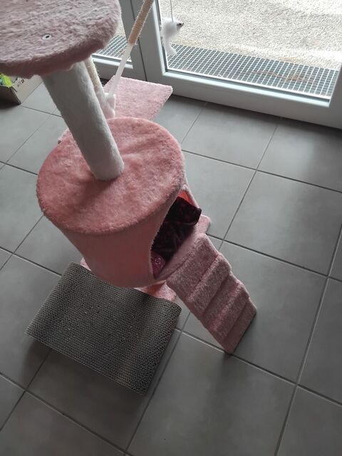 Arbre a chat Treffiagat (29)