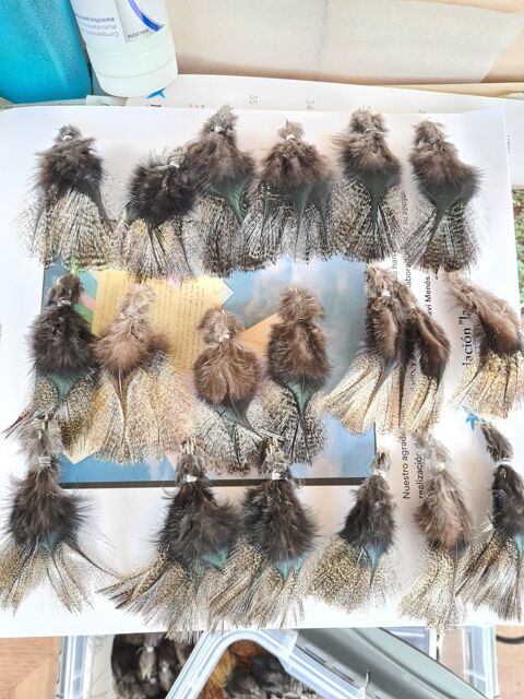 plumes de coq de Leon pour la pche 4 Lons-le-Saunier (39)