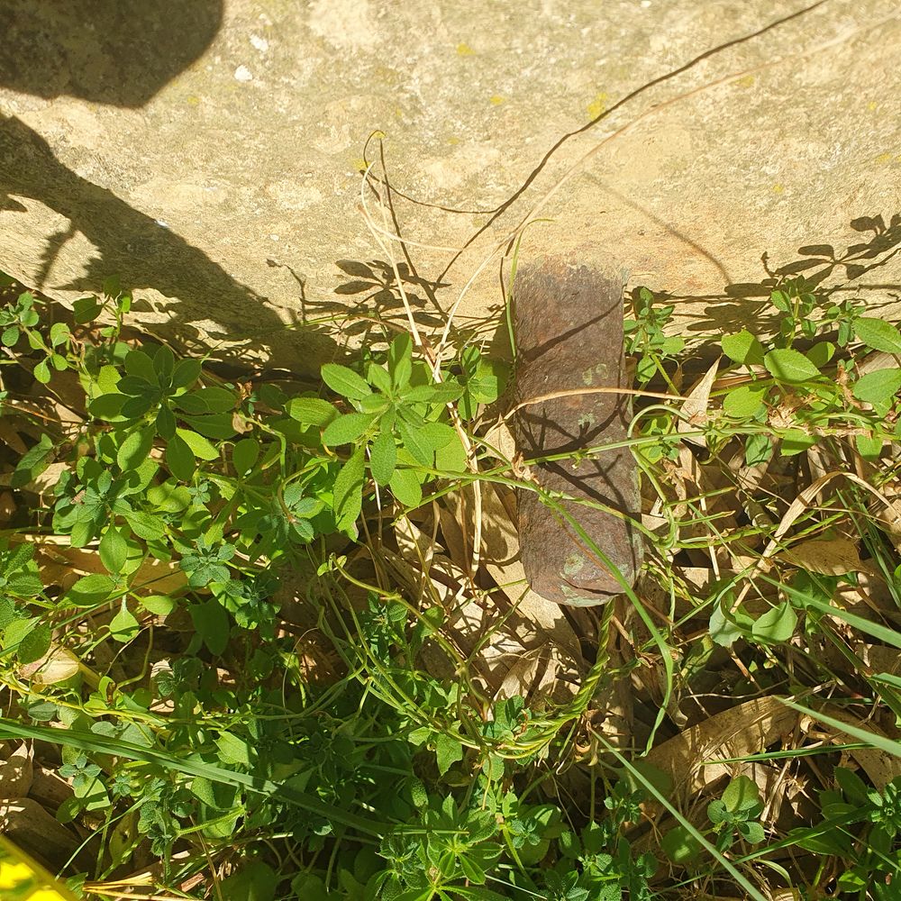 Meule &agrave; moudre olives noix pressoir puit Jardin