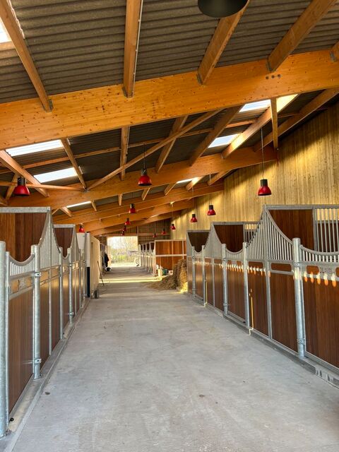 Quelques places disponibles au Haras de L'Auzance ! 450 85150 Landeronde
