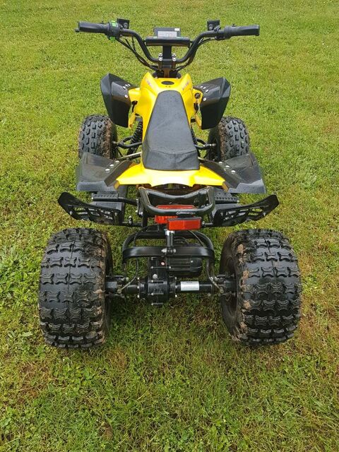AUTRES Quad 2021 occasion Lentilly 69210