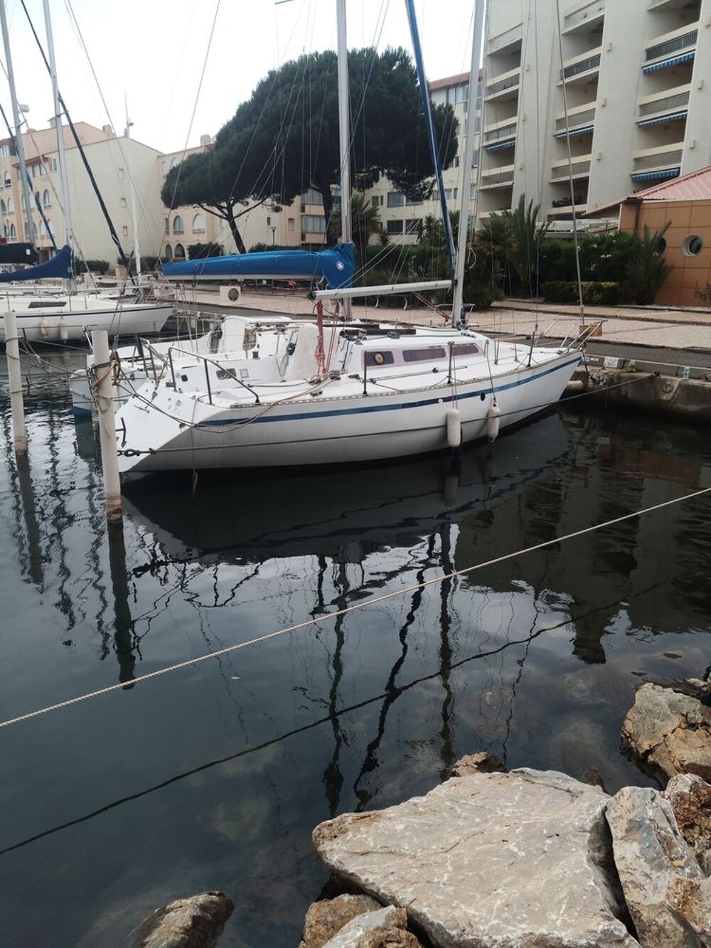 Monocoque 1980 occasion 11370 Port Leucate