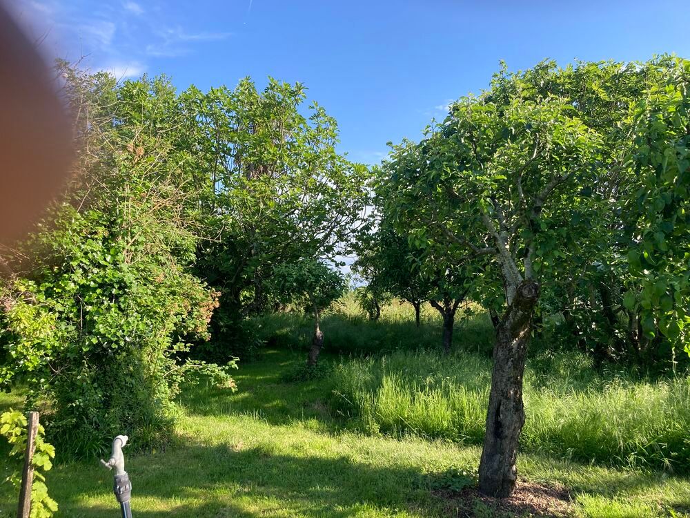 Vente Terrain Terrain  Esclassan (1500 m²) Esclassan-labastide