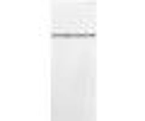 Rfrigrateur conglateur 270 Bourges (18)