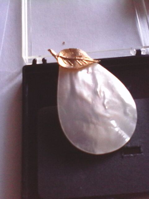 broche 
30 Strasbourg (67)