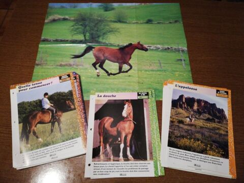 60 Fiches cheval Edition Atlas/encyclopédie de l'équitation 10 Écuisses (71)