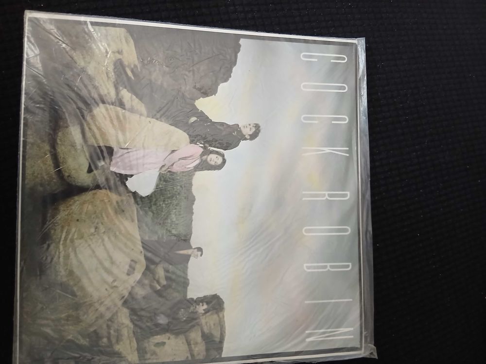 Divers disques vinyles CD et vinyles