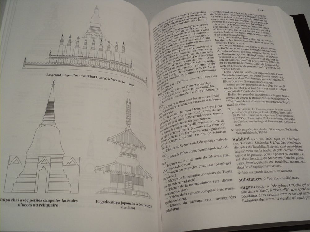 DICTIONNAIRE ENCYCLOP&Eacute;DIQUE DU BOUDDHISME
Livres et BD