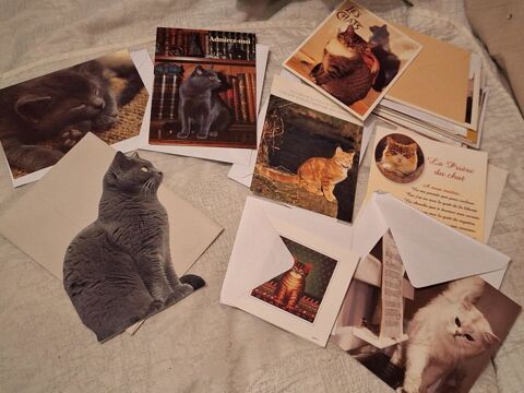 cartes de compliment + enveloppes thme chat 25 Le Plessis-Robinson (92)