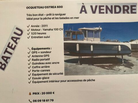 Bateaux &agrave; moteur P&ecirc;che-promenade 2011 occasion S&eacute;rignan 34410