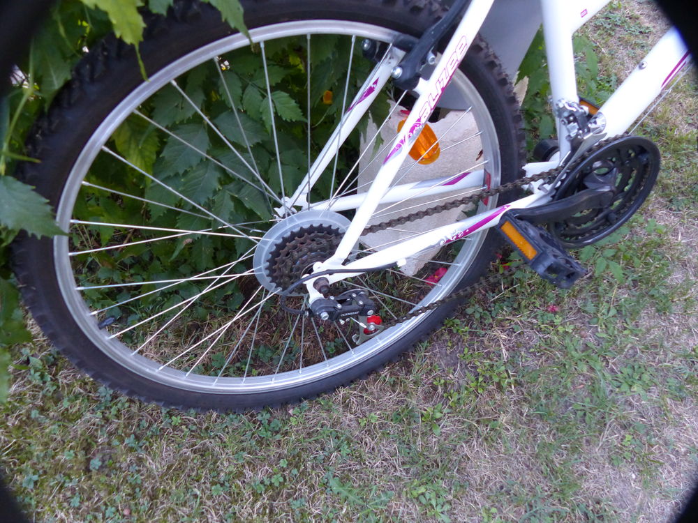 VELO VTT FEMME Vélos