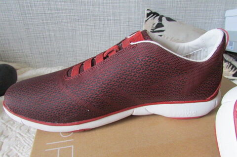 basket GEOX neuve jamais port� 0 Saint-Andr�-des-Eaux (44)