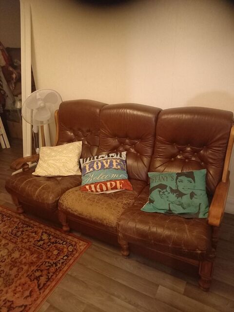 Canap� en cuir � 3 places avec 1 lit inclus � Toulouse  50 Toulouse (31)