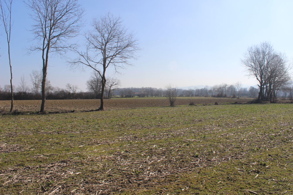 Vente Terrain Terrain à Bâtir secteur MONTREJEAU Montréjeau