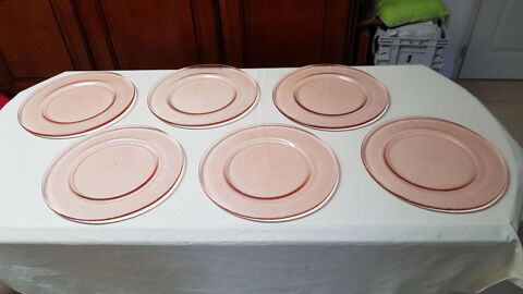 6 assiettes de présentation rose saumon diamètre 31 cm 14 Saint-Martin-le-Beau (37)