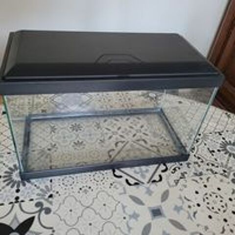   aquarium sans pompes plantes et cailloux  