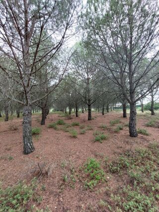  Terrain  vendre 10420 m