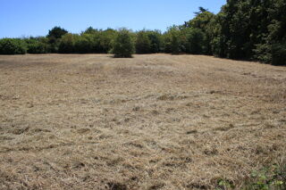  Terrain � vendre 5762 m�