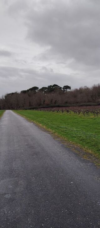  Terrain  vendre 5090 m Jau-dignac-et-loirac